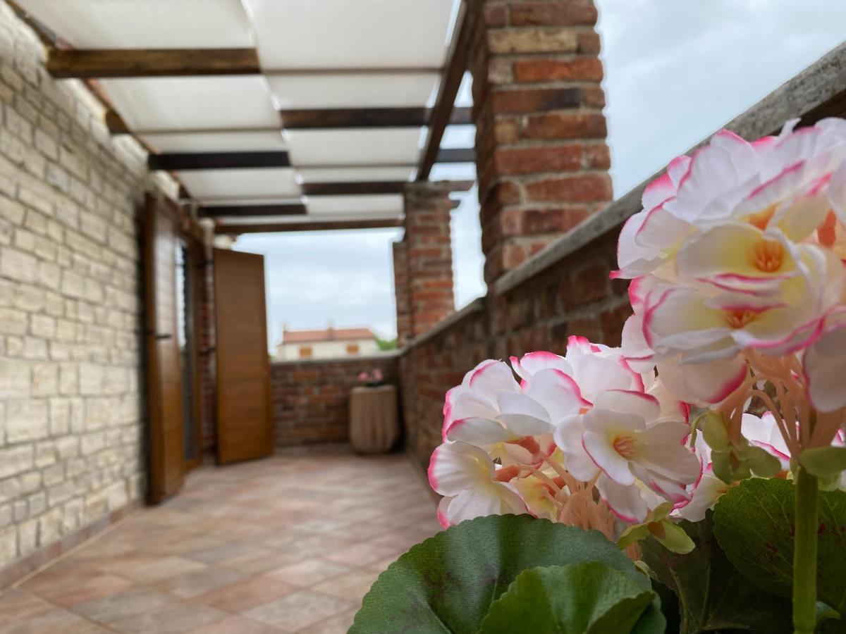 Paradise Villa Cassonni Istria 4 Stars Butkovići Exterior foto